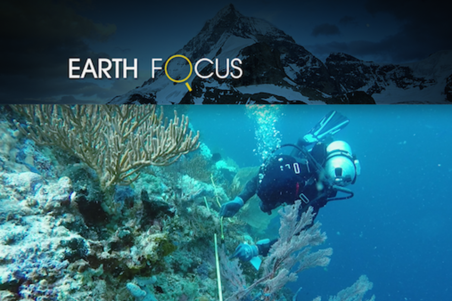 Earth Focus - Vanishing Coral Documentary