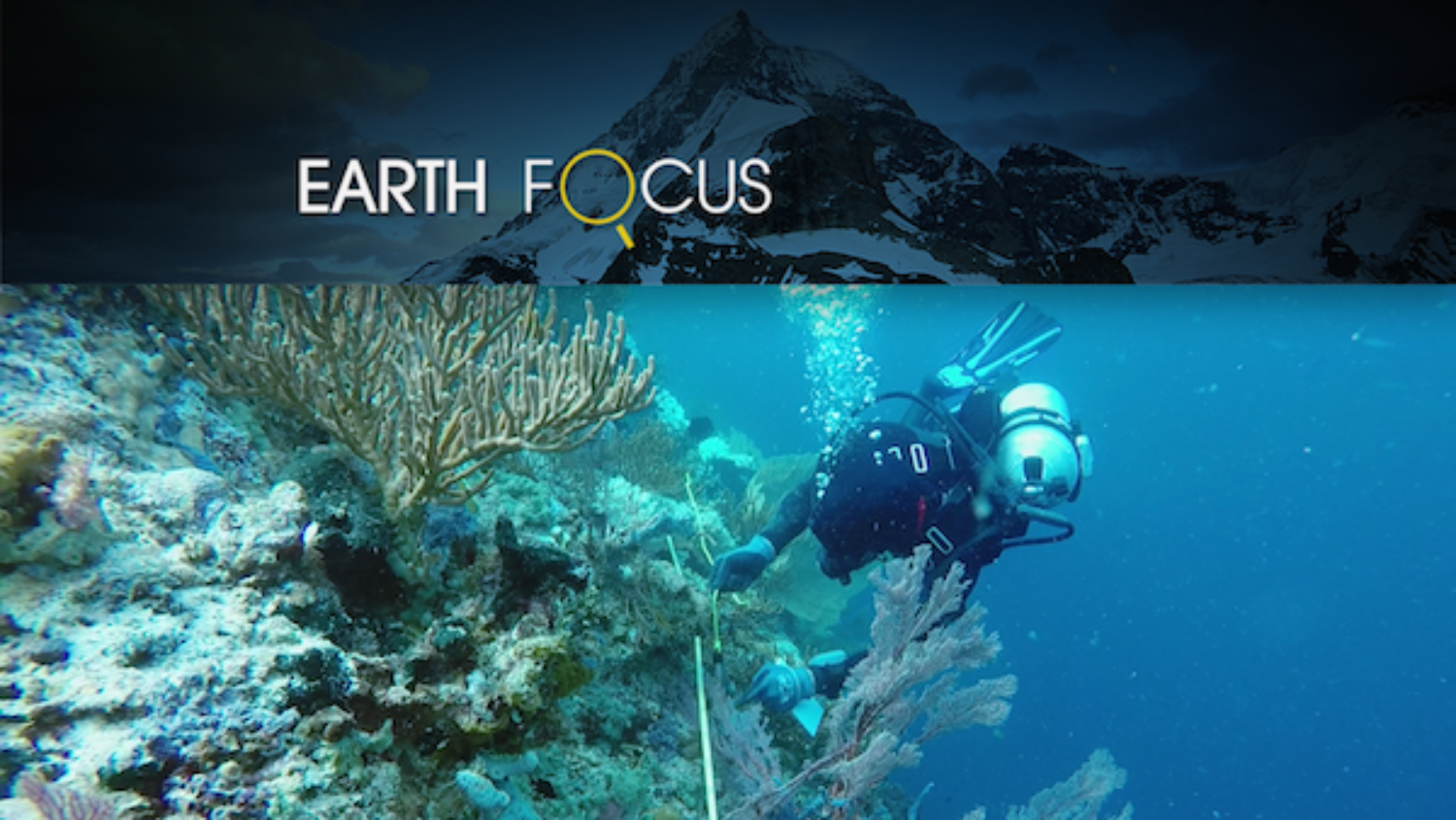 Earth Focus - Vanishing Coral Documentary